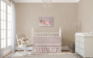 custom newborn portrait art in garner, nc